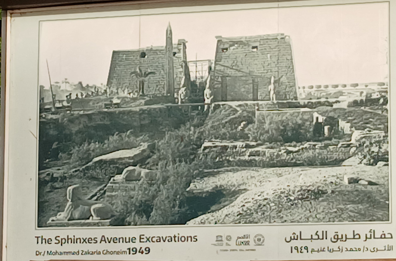 Jachthafen ElGouna