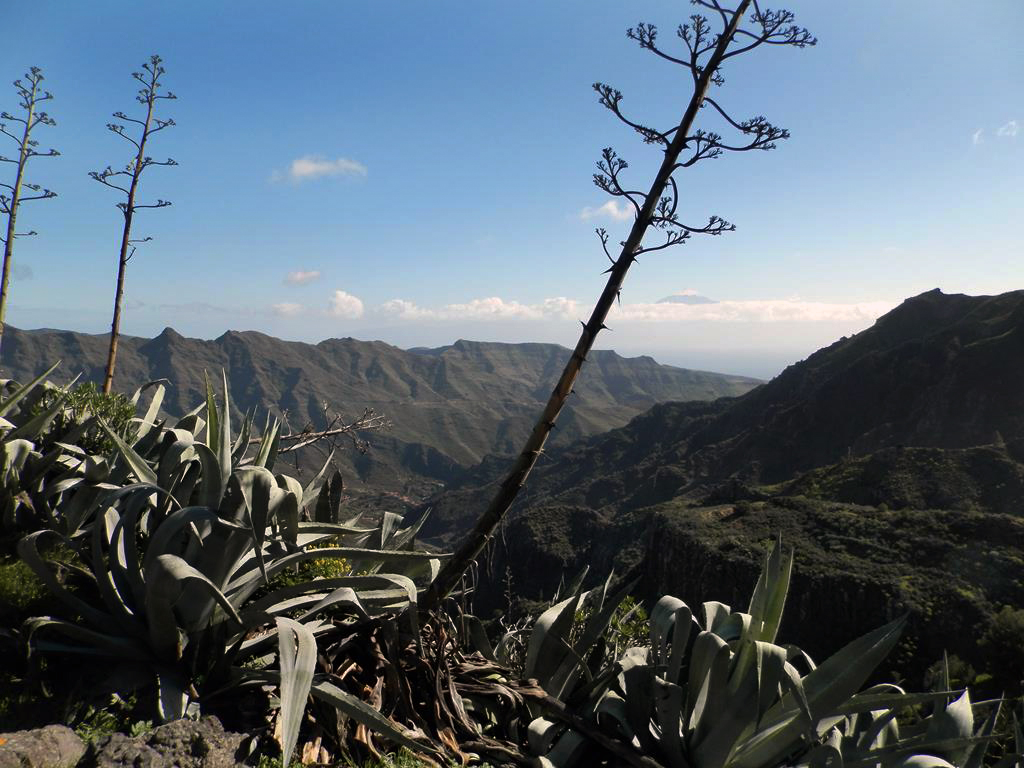 Wandern nach La Laya