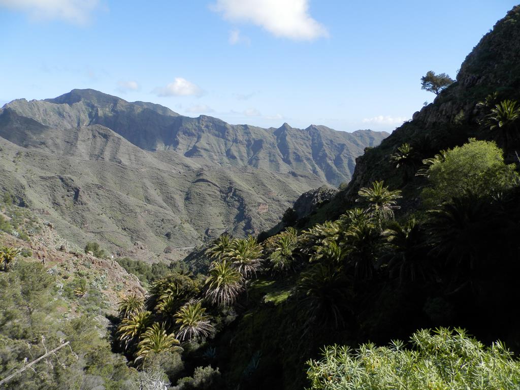 Wandern nach La Laya