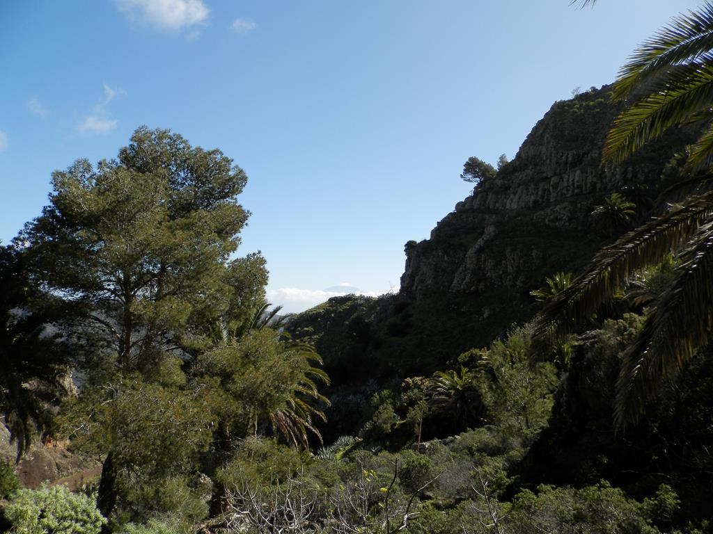 Wandern nach La Laya