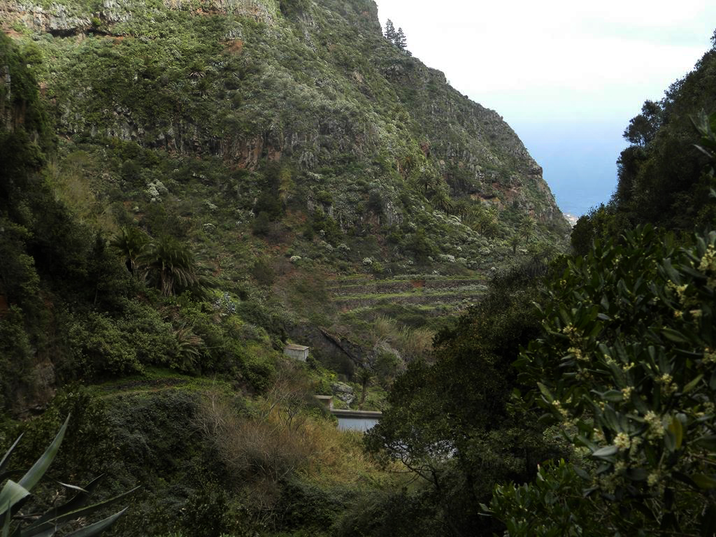 Wanderung vom Rocko de Agando, El Cercado, Hermigua